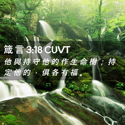 Picture 02 - 箴 言 3:18 CUVT - 他 與 持 守 他 的 作 生 命 樹 ； 持 - Bible Verse Picture