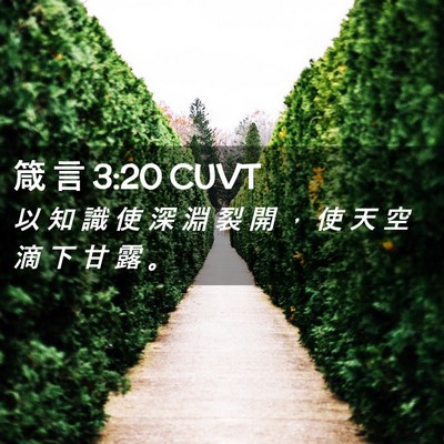 Picture 02 - 箴 言 3:20 CUVT - 以 知 識 使 深 淵 裂 開 ， 使 天 空 - Bible Verse Picture