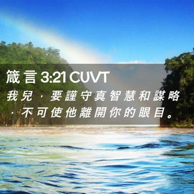 Picture 02 - 箴 言 3:21 CUVT - 我 兒 ， 要 謹 守 真 智 慧 和 謀 略 - Bible Verse Picture