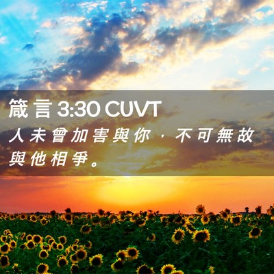 Picture 02 - 箴 言 3:30 CUVT - 人 未 曾 加 害 與 你 ， 不 可 無 故 - Bible Verse Picture