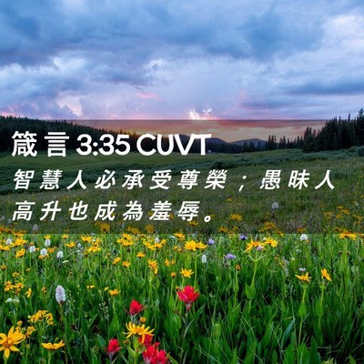 Picture 02 - 箴 言 3:35 CUVT - 智 慧 人 必 承 受 尊 榮 ； 愚 昧 人 - Bible Verse Picture
