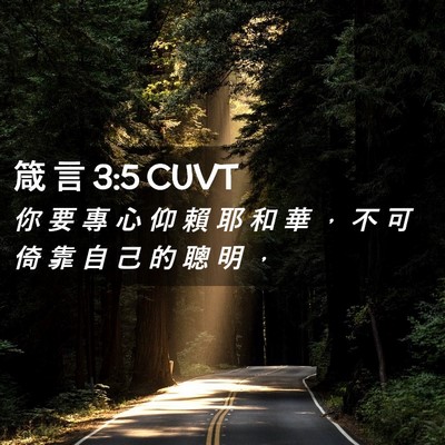 Picture 02 - 箴 言 3:5 CUVT - 你 要 專 心 仰 賴 耶 和 華 ， 不 可 - Bible Verse Picture