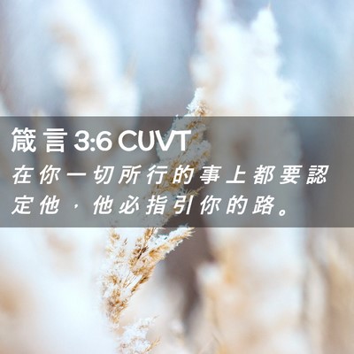 Picture 02 - 箴 言 3:6 CUVT - 在 你 一 切 所 行 的 事 上 都 要 認 - Bible Verse Picture