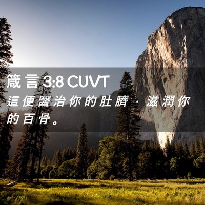 Picture 02 - 箴 言 3:8 CUVT - 這 便 醫 治 你 的 肚 臍 ， 滋 潤 你 - Bible Verse Picture
