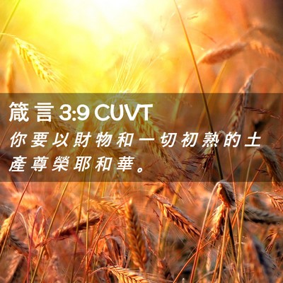Picture 02 - 箴 言 3:9 CUVT - 你 要 以 財 物 和 一 切 初 熟 的 土 - Bible Verse Picture