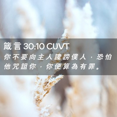 Picture 02 - 箴 言 30:10 CUVT - 你 不 要 向 主 人 讒 謗 僕 人 ， 恐 - Bible Verse Picture