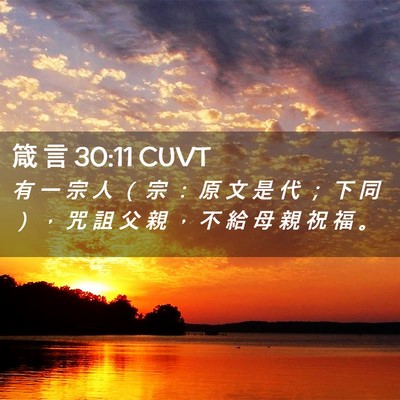 Picture 02 - 箴 言 30:11 CUVT - 有 一 宗 人 （ 宗 ： 原 文 是 代 ； - Bible Verse Picture