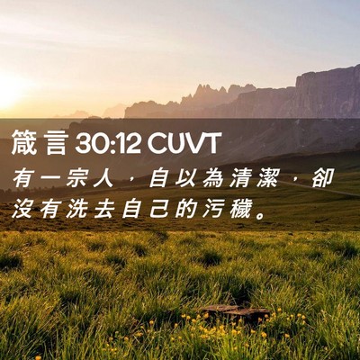 Picture 02 - 箴 言 30:12 CUVT - 有 一 宗 人 ， 自 以 為 清 潔 ， 卻 - Bible Verse Picture