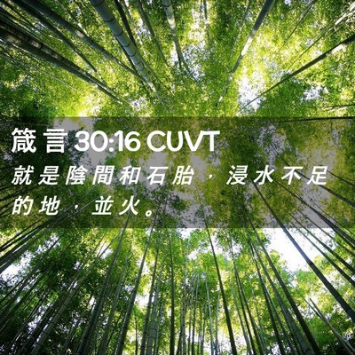 Picture 02 - 箴 言 30:16 CUVT - 就 是 陰 間 和 石 胎 ， 浸 水 不 足 - Bible Verse Picture