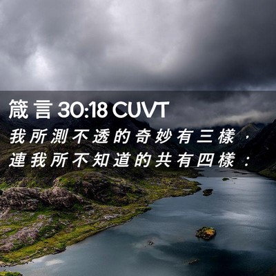 Picture 02 - 箴 言 30:18 CUVT - 我 所 測 不 透 的 奇 妙 有 三 樣 ， - Bible Verse Picture
