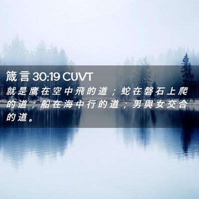 Picture 02 - 箴 言 30:19 CUVT - 就 是 鷹 在 空 中 飛 的 道 ； 蛇 在 - Bible Verse Picture