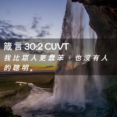 Picture 02 - 箴 言 30:2 CUVT - 我 比 眾 人 更 蠢 笨 ， 也 沒 有 人 - Bible Verse Picture