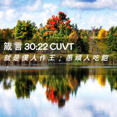 Picture 02 - 箴 言 30:22 CUVT - 就 是 僕 人 作 王 ； 愚 頑 人 吃 飽 - Bible Verse Picture