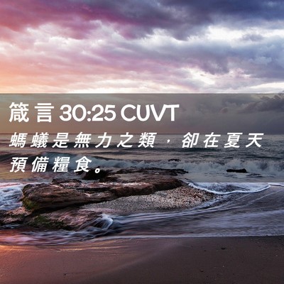 Picture 02 - 箴 言 30:25 CUVT - 螞 蟻 是 無 力 之 類 ， 卻 在 夏 天 - Bible Verse Picture