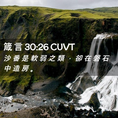 Picture 02 - 箴 言 30:26 CUVT - 沙 番 是 軟 弱 之 類 ， 卻 在 磐 石 - Bible Verse Picture