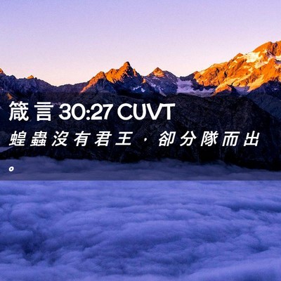 Picture 02 - 箴 言 30:27 CUVT - 蝗 蟲 沒 有 君 王 ， 卻 分 隊 而 出 - Bible Verse Picture