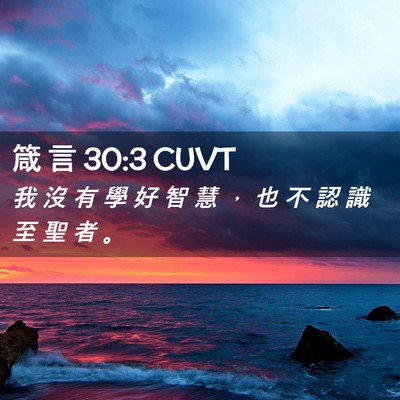 Picture 02 - 箴 言 30:3 CUVT - 我 沒 有 學 好 智 慧 ， 也 不 認 識 - Bible Verse Picture