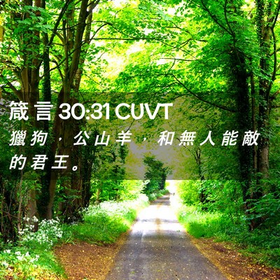 Picture 02 - 箴 言 30:31 CUVT - 獵 狗 ， 公 山 羊 ， 和 無 人 能 敵 - Bible Verse Picture