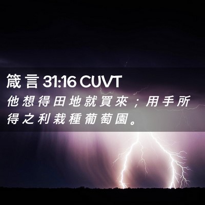 Picture 02 - 箴 言 31:16 CUVT - 他 想 得 田 地 就 買 來 ； 用 手 所 - Bible Verse Picture