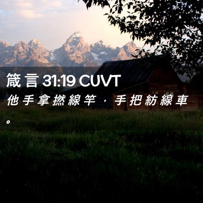 Picture 02 - 箴 言 31:19 CUVT - 他 手 拿 撚 線 竿 ， 手 把 紡 線 車 - Bible Verse Picture