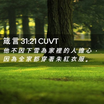 Picture 02 - 箴 言 31:21 CUVT - 他 不 因 下 雪 為 家 裡 的 人 擔 心 - Bible Verse Picture