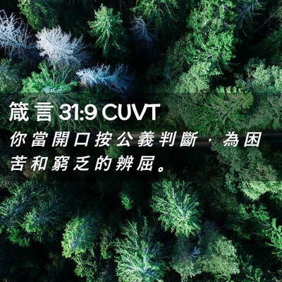 Picture 02 - 箴 言 31:9 CUVT - 你 當 開 口 按 公 義 判 斷 ， 為 困 - Bible Verse Picture