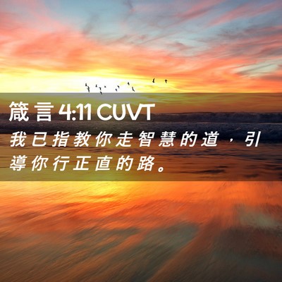 Picture 02 - 箴 言 4:11 CUVT - 我 已 指 教 你 走 智 慧 的 道 ， 引 - Bible Verse Picture