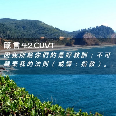 Picture 02 - 箴 言 4:2 CUVT - 因 我 所 給 你 們 的 是 好 教 訓 ； - Bible Verse Picture