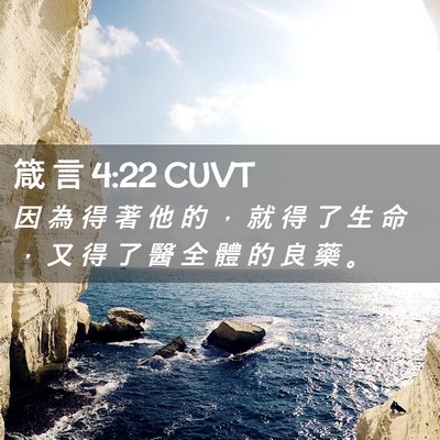 Picture 02 - 箴 言 4:22 CUVT - 因 為 得 著 他 的 ， 就 得 了 生 命 - Bible Verse Picture