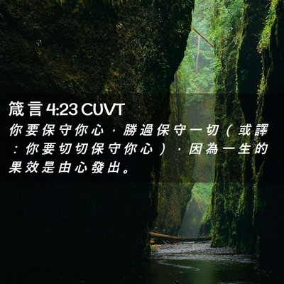 Picture 02 - 箴 言 4:23 CUVT - 你 要 保 守 你 心 ， 勝 過 保 守 一 - Bible Verse Picture