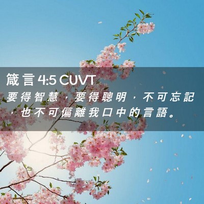 Picture 02 - 箴 言 4:5 CUVT - 要 得 智 慧 ， 要 得 聰 明 ， 不 可 - Bible Verse Picture