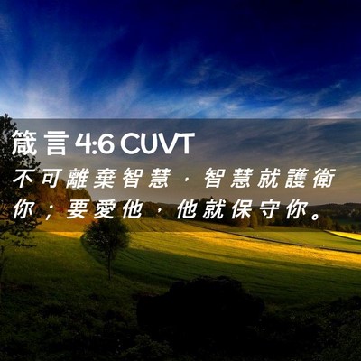 Picture 02 - 箴 言 4:6 CUVT - 不 可 離 棄 智 慧 ， 智 慧 就 護 衛 - Bible Verse Picture
