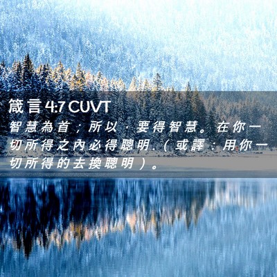 Picture 02 - 箴 言 4:7 CUVT - 智 慧 為 首 ； 所 以 ， 要 得 智 慧 - Bible Verse Picture