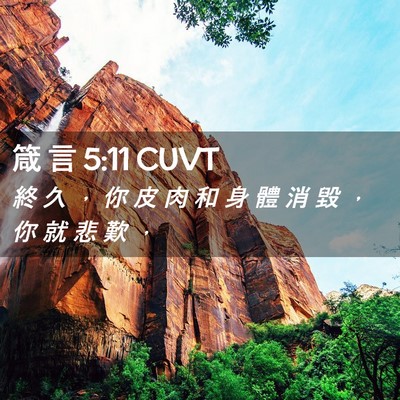 Picture 02 - 箴 言 5:11 CUVT - 終 久 ， 你 皮 肉 和 身 體 消 毀 ， - Bible Verse Picture