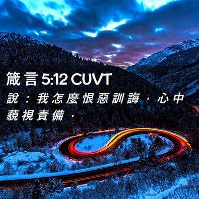 Picture 02 - 箴 言 5:12 CUVT - 說 ： 我 怎 麼 恨 惡 訓 誨 ， 心 中 - Bible Verse Picture