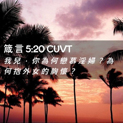 Picture 02 - 箴 言 5:20 CUVT - 我 兒 ， 你 為 何 戀 慕 淫 婦 ？ 為 - Bible Verse Picture