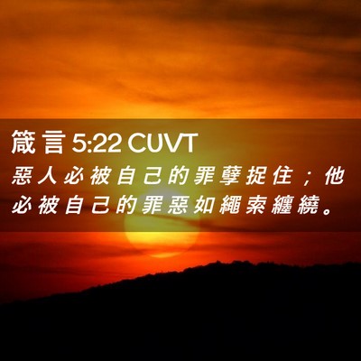 Picture 02 - 箴 言 5:22 CUVT - 惡 人 必 被 自 己 的 罪 孽 捉 住 ； - Bible Verse Picture
