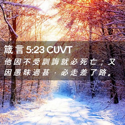 Picture 02 - 箴 言 5:23 CUVT - 他 因 不 受 訓 誨 就 必 死 亡 ； 又 - Bible Verse Picture