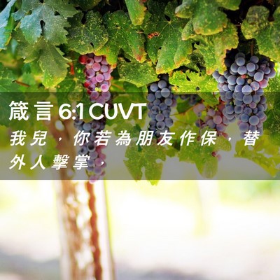 Picture 02 - 箴 言 6:1 CUVT - 我 兒 ， 你 若 為 朋 友 作 保 ， 替 - Bible Verse Picture