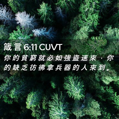 Picture 02 - 箴 言 6:11 CUVT - 你 的 貧 窮 就 必 如 強 盜 速 來 ， - Bible Verse Picture