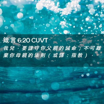 Picture 02 - 箴 言 6:20 CUVT - 我 兒 ， 要 謹 守 你 父 親 的 誡 命 - Bible Verse Picture