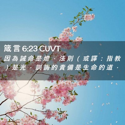 Picture 02 - 箴 言 6:23 CUVT - 因 為 誡 命 是 燈 ， 法 則 （ 或 譯 - Bible Verse Picture