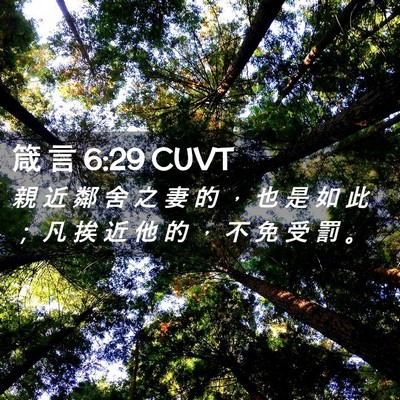 Picture 02 - 箴 言 6:29 CUVT - 親 近 鄰 舍 之 妻 的 ， 也 是 如 此 - Bible Verse Picture