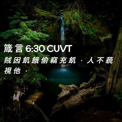 Picture 02 - 箴 言 6:30 CUVT - 賊 因 飢 餓 偷 竊 充 飢 ， 人 不 藐 - Bible Verse Picture