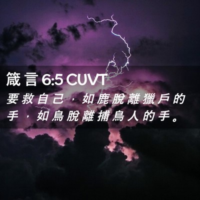 Picture 02 - 箴 言 6:5 CUVT - 要 救 自 己 ， 如 鹿 脫 離 獵 戶 的 - Bible Verse Picture