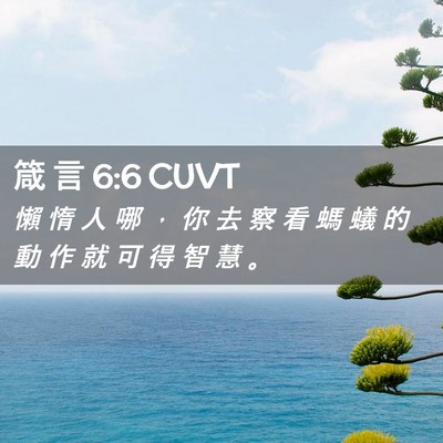 Picture 02 - 箴 言 6:6 CUVT - 懶 惰 人 哪 ， 你 去 察 看 螞 蟻 的 - Bible Verse Picture