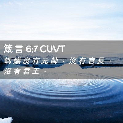 Picture 02 - 箴 言 6:7 CUVT - 螞 蟻 沒 有 元 帥 ， 沒 有 官 長 ， - Bible Verse Picture