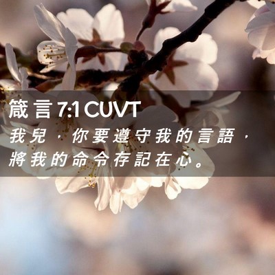 Picture 02 - 箴 言 7:1 CUVT - 我 兒 ， 你 要 遵 守 我 的 言 語 ， - Bible Verse Picture