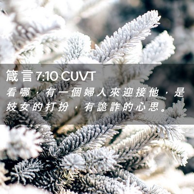 Picture 02 - 箴 言 7:10 CUVT - 看 哪 ， 有 一 個 婦 人 來 迎 接 他 - Bible Verse Picture