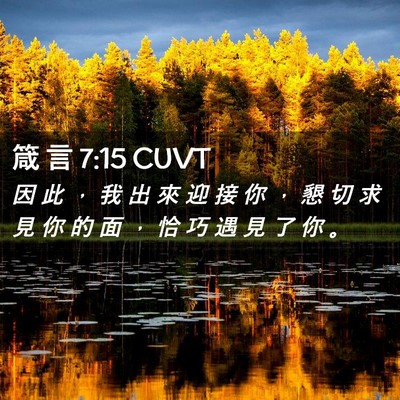 Picture 02 - 箴 言 7:15 CUVT - 因 此 ， 我 出 來 迎 接 你 ， 懇 切 - Bible Verse Picture